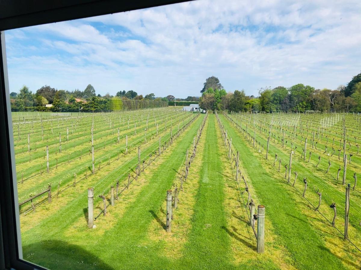 マスタートン Le Gra Vineyard And Winery Bed & Breakfast エクステリア 写真